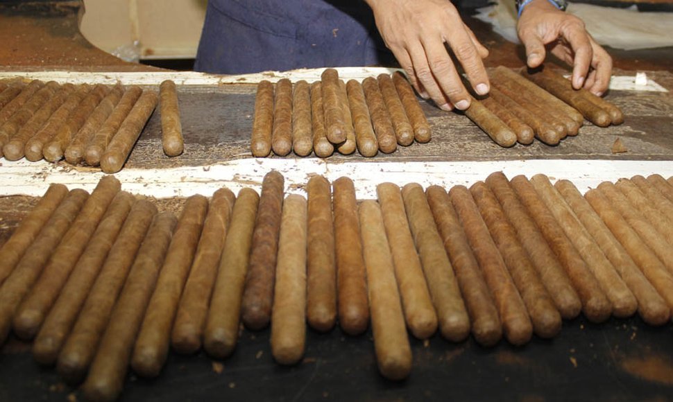 Exportaciones de puros nicas crecen más de 11%