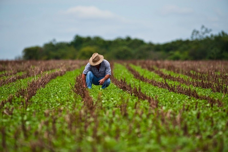 Nicaragua: $15 millones para agricultura